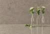 Belenco Terre Grey 4535New